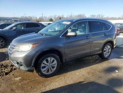 Salvage cars for sale at Louisville, KY auction: 2013 Honda CR-V EXL