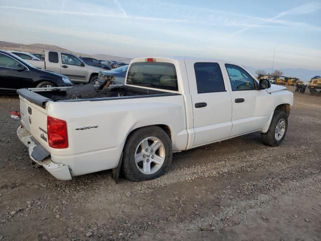 2010 Dodge Dakota SXT