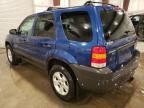 2007 Ford Escape XLT