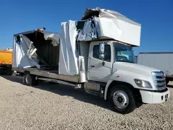 Salvage trucks for sale at San Antonio, TX auction: 2020 Hino 258 268