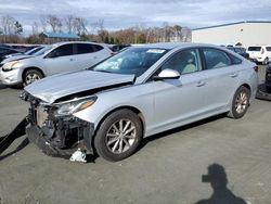 Salvage cars for sale at Spartanburg, SC auction: 2019 Hyundai Sonata SE