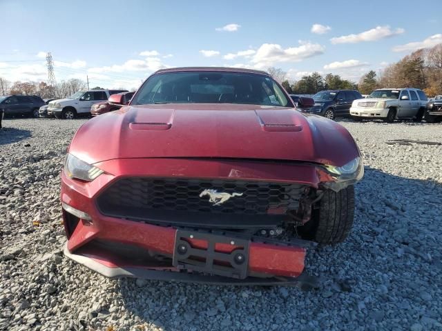 2019 Ford Mustang