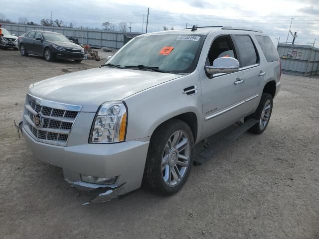 2010 Cadillac Escalade Platinum