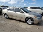 2008 Toyota Camry Hybrid