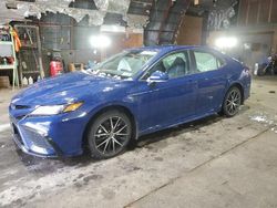 Toyota Camry se Night Shade salvage cars for sale: 2023 Toyota Camry SE Night Shade