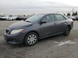 Toyota Corolla salvage cars for sale: 2010 Toyota Corolla Base