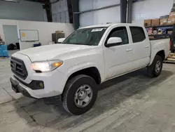 2023 Toyota Tacoma Double Cab en venta en Greenwood, NE