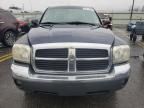 2005 Dodge Dakota Quad SLT