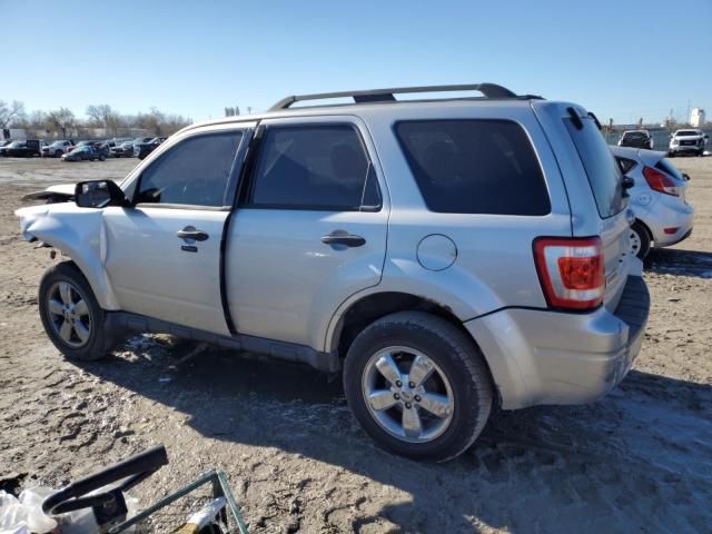 2011 Ford Escape XLT