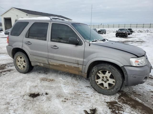 2007 Ford Escape Limited