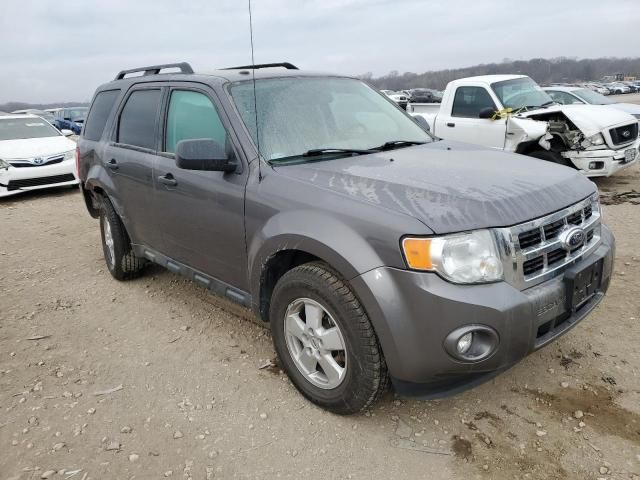 2012 Ford Escape XLT