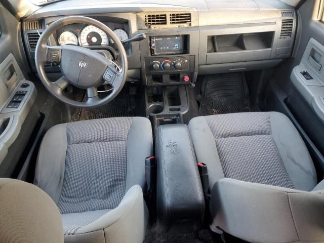 2010 Dodge Dakota SXT