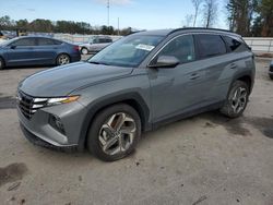 Salvage cars for sale at Dunn, NC auction: 2024 Hyundai Tucson SEL