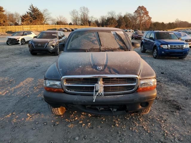 2004 Dodge Dakota SXT