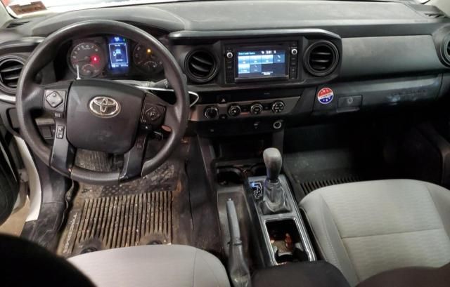 2019 Toyota Tacoma Access Cab