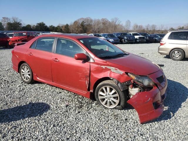 2010 Toyota Corolla Base