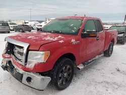 Salvage cars for sale from Copart Anchorage, AK: 2013 Ford F150 Super Cab