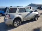 2009 Ford Escape Limited