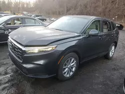 2024 Honda CR-V EX en venta en Marlboro, NY