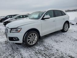 Salvage cars for sale at Ottawa, ON auction: 2017 Audi Q5 Technik