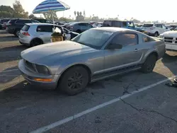 Salvage cars for sale from Copart Van Nuys, CA: 2007 Ford Mustang