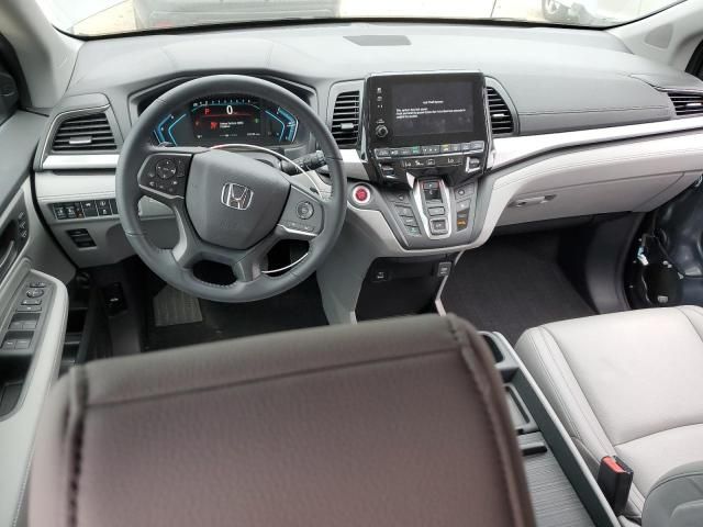 2024 Honda Odyssey EXL