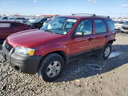 Salvage cars for sale at Cahokia Heights, IL auction: 2005 Ford Escape XLS