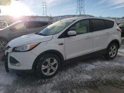 Salvage cars for sale at Littleton, CO auction: 2013 Ford Escape SE