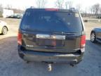 2010 Honda Pilot EXL