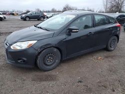 Carros salvage a la venta en subasta: 2014 Ford Focus SE