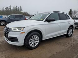 Salvage cars for sale at Bowmanville, ON auction: 2020 Audi Q5 Titanium Prestige