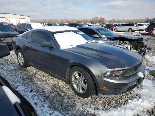 2010 Ford Mustang