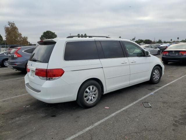 2008 Honda Odyssey EXL