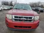 2011 Ford Escape XLS