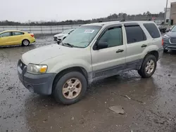 2006 Ford Escape XLT en venta en Fredericksburg, VA