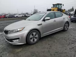 KIA salvage cars for sale: 2011 KIA Optima Hybrid