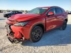 2023 Lexus NX 250