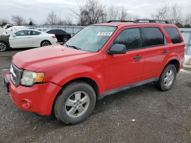 2009 Ford Escape XLT