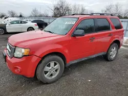 Salvage cars for sale at London, ON auction: 2009 Ford Escape XLT