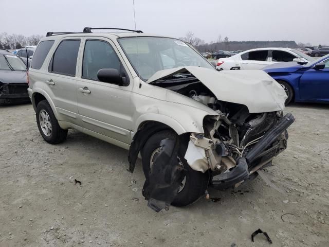 2004 Ford Escape Limited