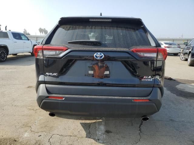 2019 Toyota Rav4 XLE