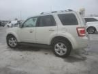 2009 Ford Escape Limited