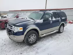 Salvage cars for sale at Rapid City, SD auction: 2009 Ford Expedition Eddie Bauer