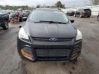 2014 Ford Escape S