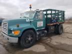 1995 Ford F800