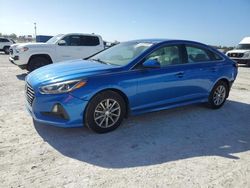 Salvage cars for sale at Arcadia, FL auction: 2019 Hyundai Sonata SE