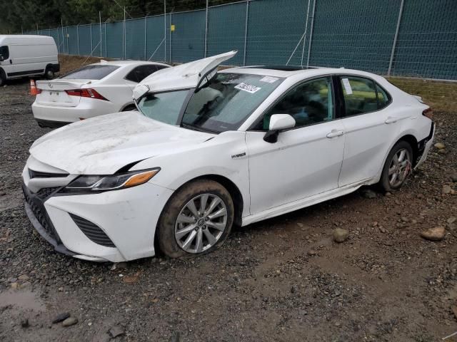 2020 Toyota Camry SE