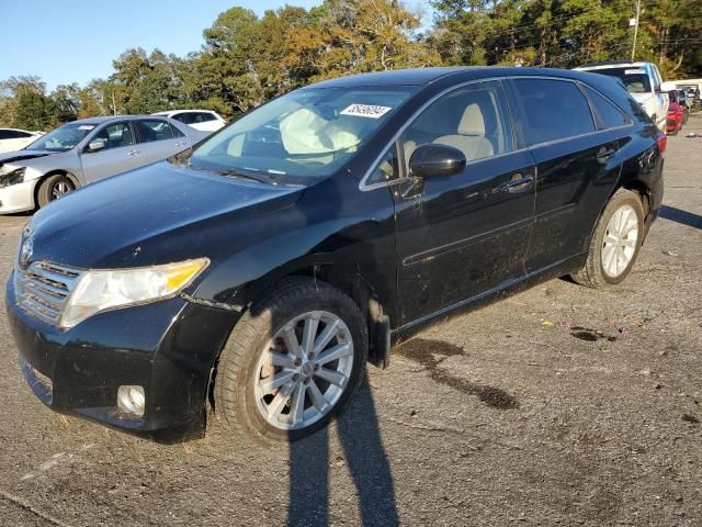 2010 Toyota Venza