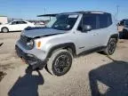 2017 Jeep Renegade Trailhawk