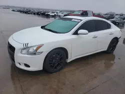 Salvage cars for sale at Grand Prairie, TX auction: 2014 Nissan Maxima S